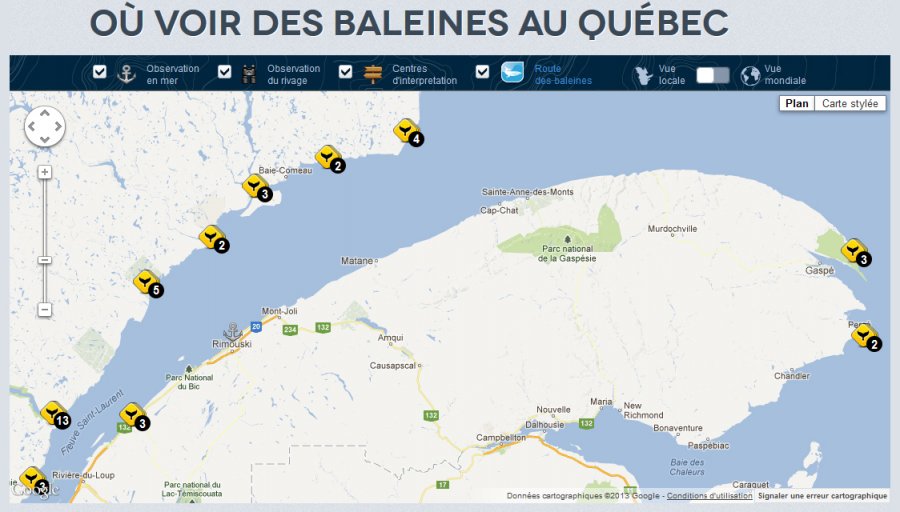 image_baleine image_baleine