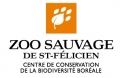 Saguenay-Lac-Saint-Jean : Zoo Sauvage de St-Félicien