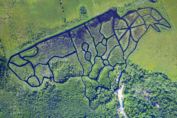 Outaouais : Eco-Odyssee