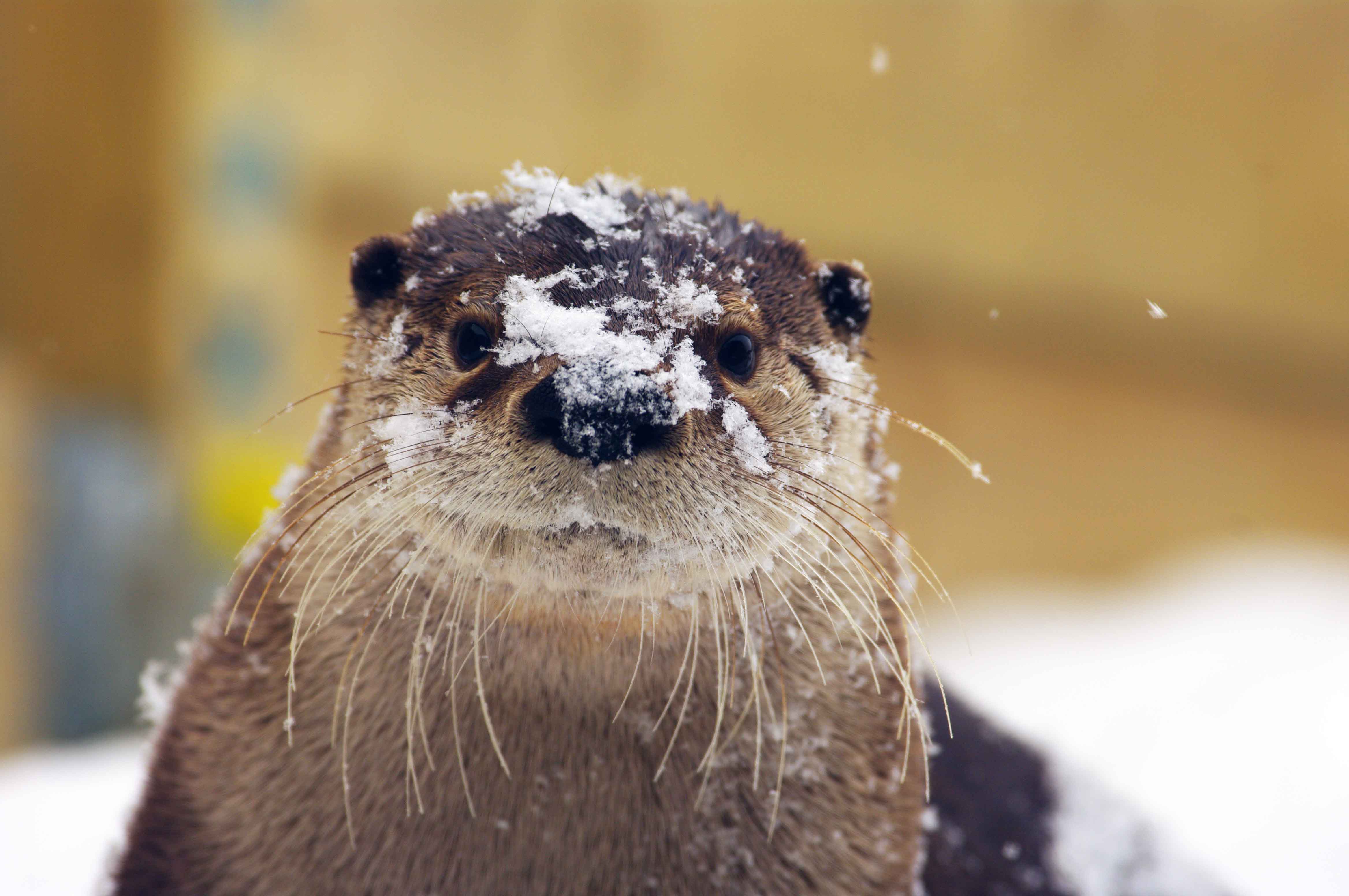 Centre du Qu�bec : Centre de la Biodiversit� du Qu�bec