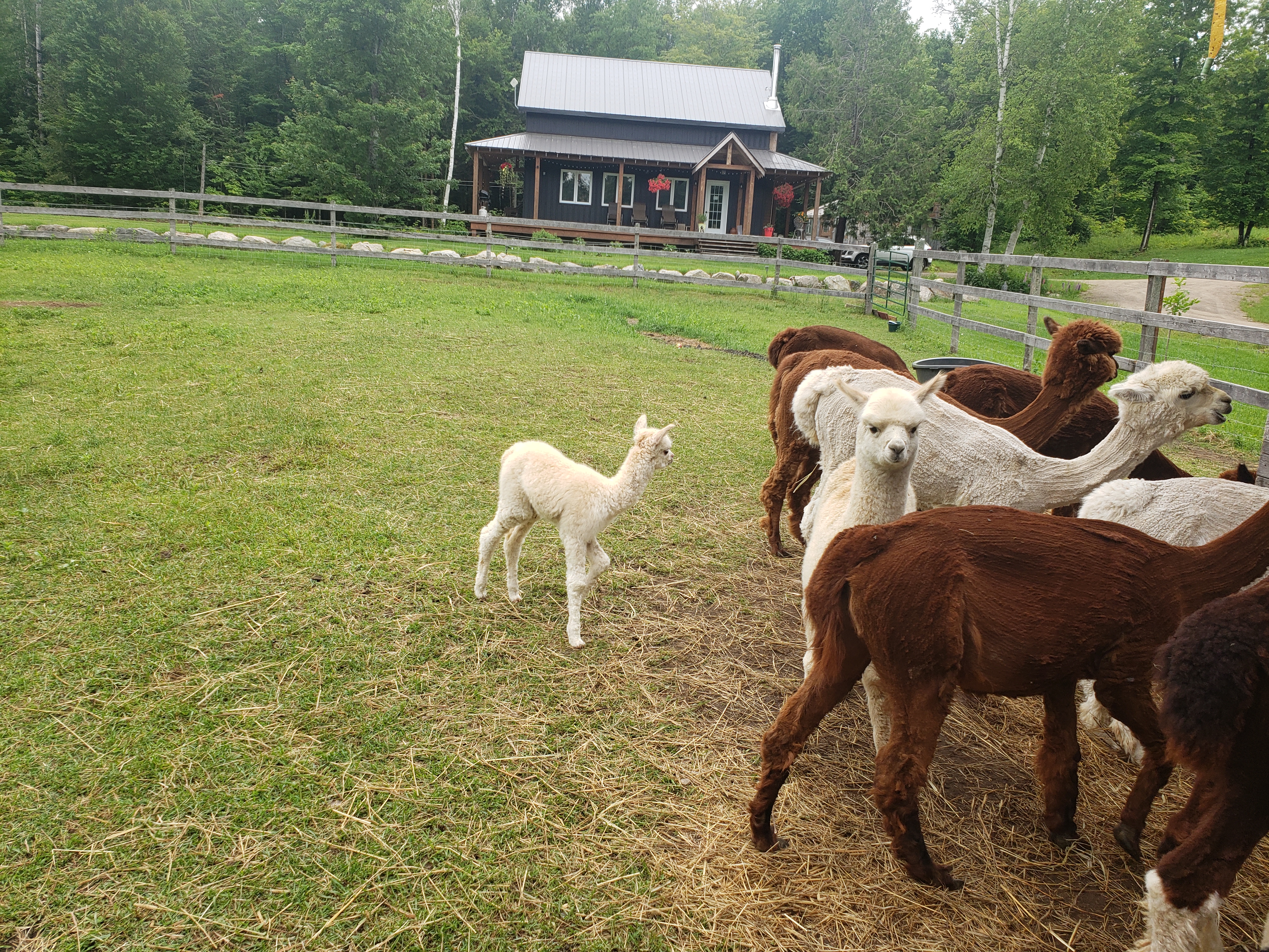  : LA FERME DU PARADIS