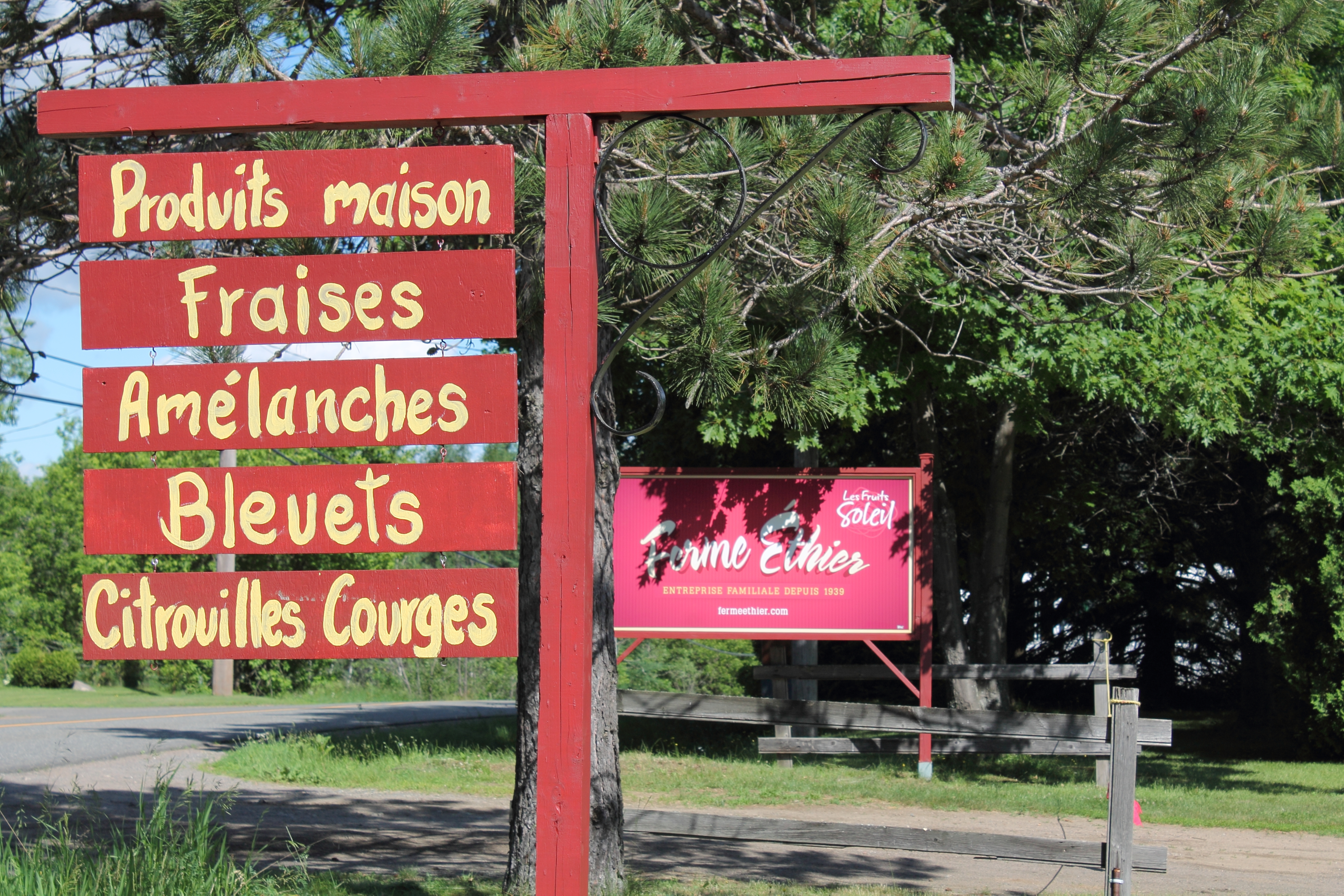 Mauricie : Ferme Ethier les fruits soleil