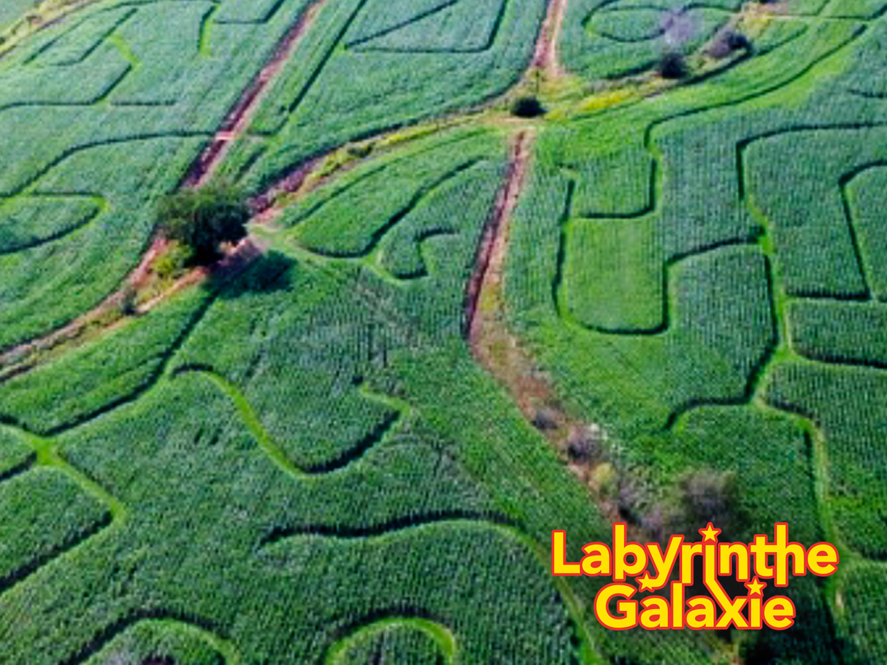Mont�r�gie : Labyrinthe Galaxie