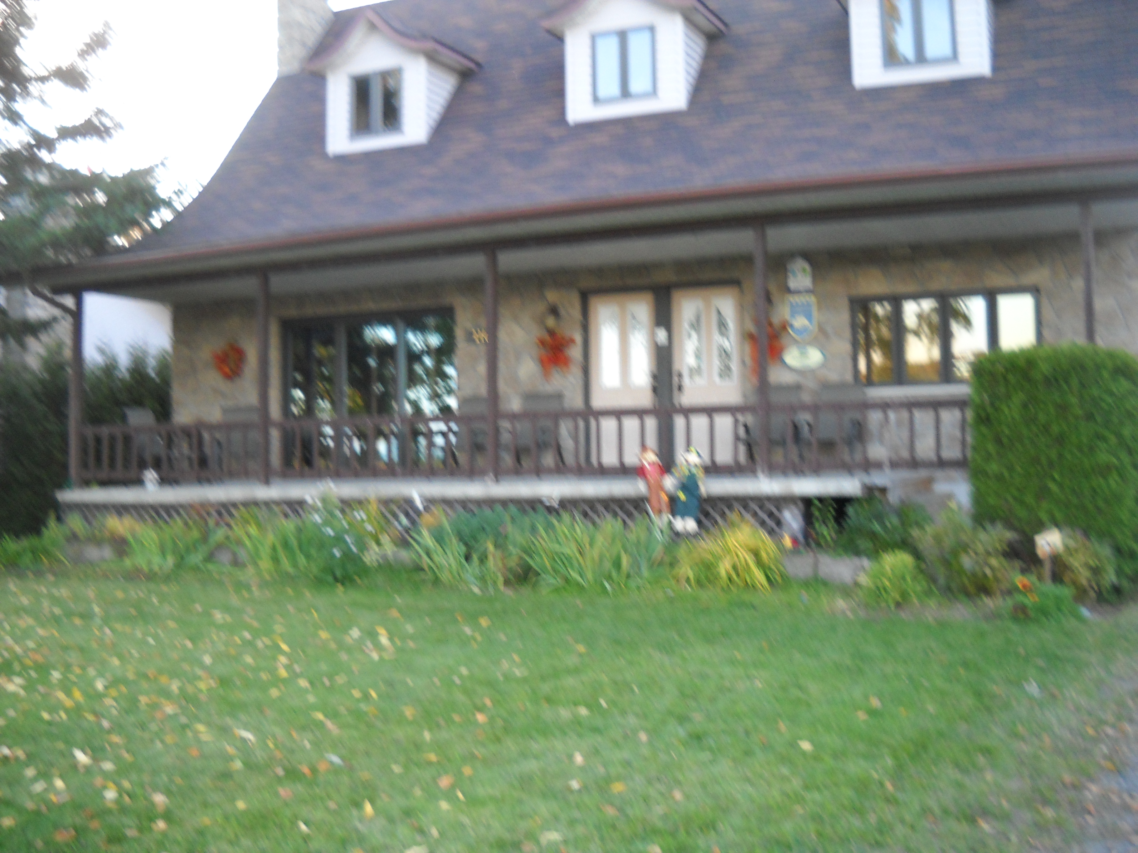 Abitibi-T�miscamingue : Au repos du Bouleau