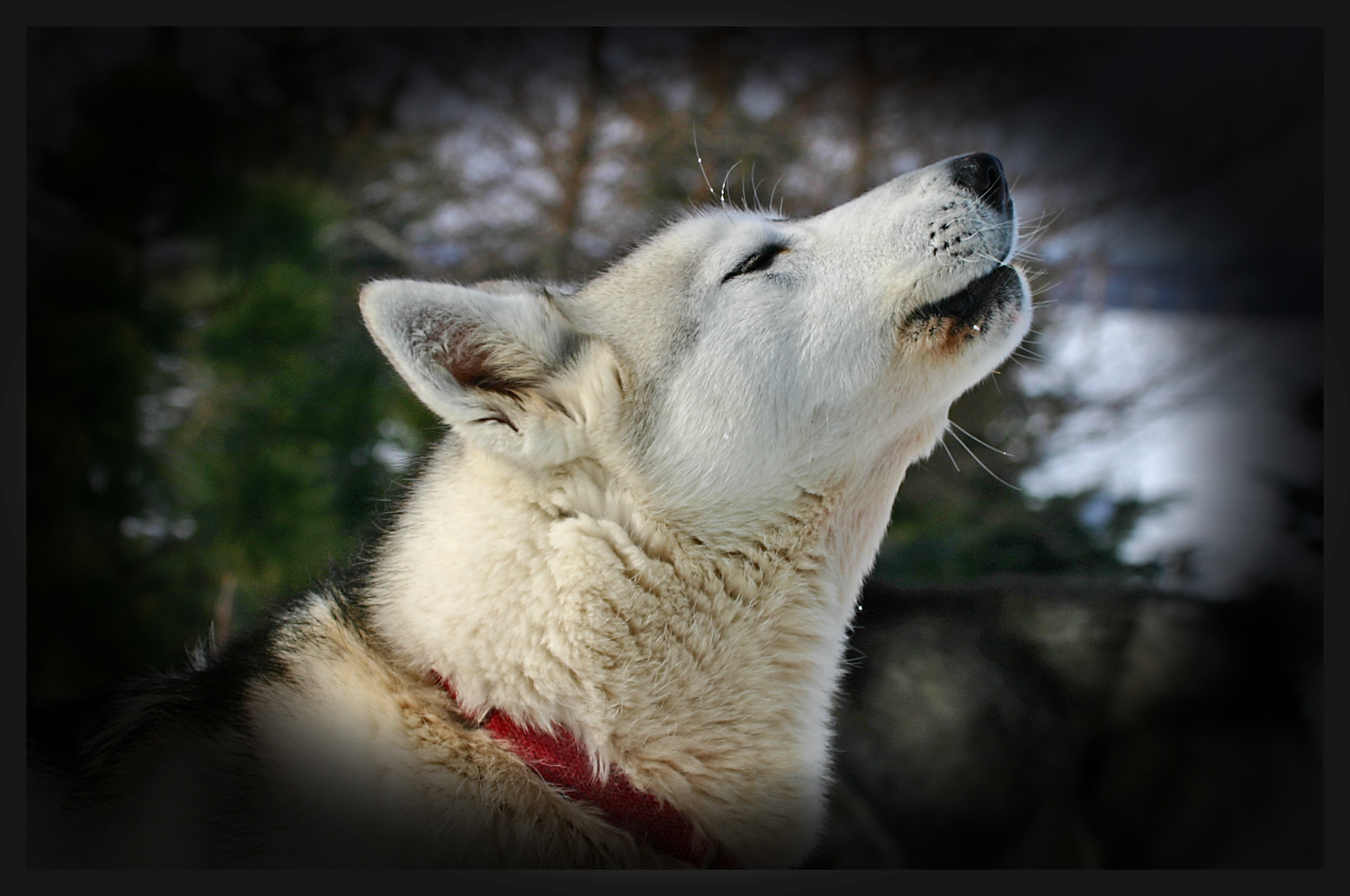 Centre du Qu�bec : Randonn�e M�ckl�