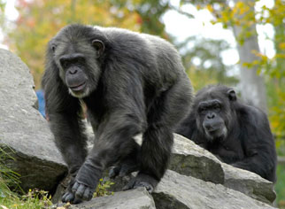 Mont�r�gie : Parc Safari