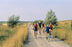  : Parc linaire du Tmiscamingue La Ligne du mocassin