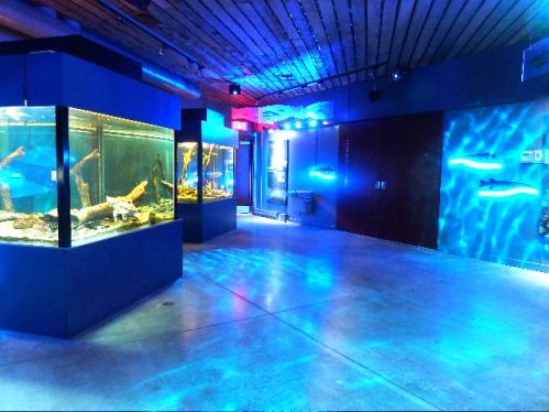  : Centre de la Biodiversit du Qubec