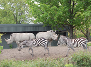 Cantons de l'est : Zoo de Granby et parc aquatique Amazoo