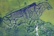  : Eco-Odyssee