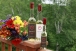  : Domaine de la Valle du Bras