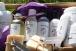  : Boutique & Site agro-touristique Passion Lavande